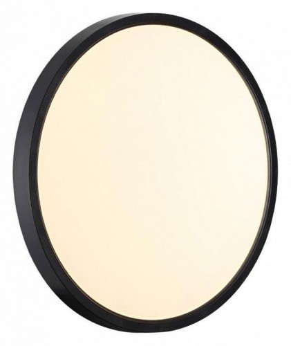 Настенно-потолочный светодиодный светильник Sonex Mitra Alfa Black 7660/24L