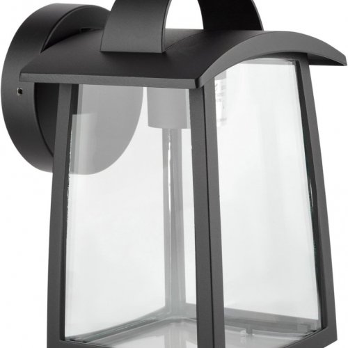 Настенный фонарь Oasis Light уличный UNITE 2736Cl Bl