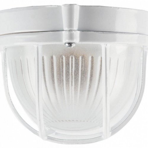 Настенно-потолочный светильник Feron НБП 04-60-002 53172