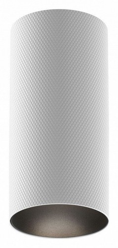 Точечный светильник Maytoni Artisan C080CL-01-GU10-W