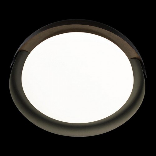 Потолочный светильник Loft IT Coin 10198 Black Потолочный светильник Loft IT Coin 10198 Black