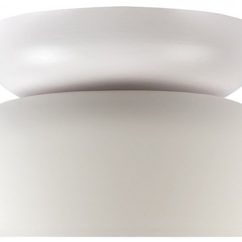 Потолочный светильник Loft IT Totem 10466 Milky white