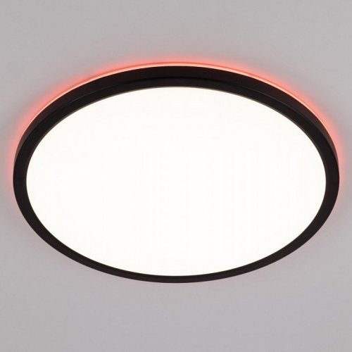 Настенно-потолочный светильник Citilux Basic Line CL738321EL