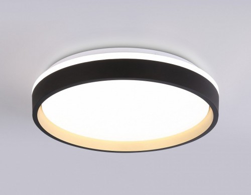 Накладной светильник Ambrella Light FZ FZ604