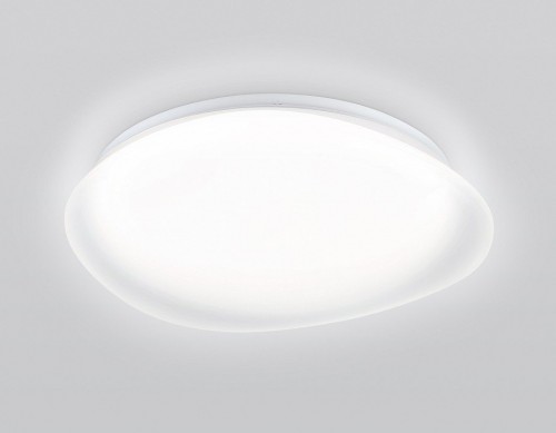 Потолочный светильник Ambrella light Orbital FZ1610