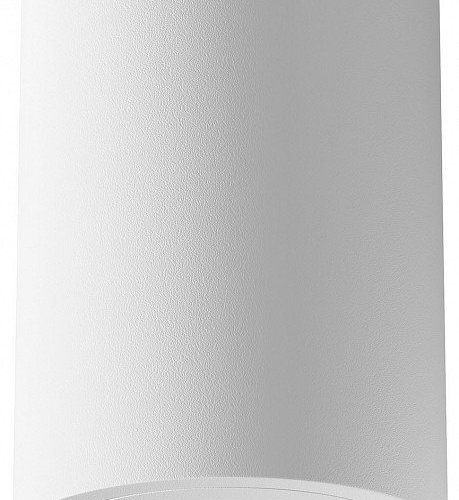 Потолочный светильник Maytoni Alfa C016CL-01W