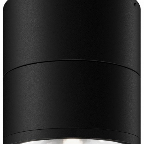 Потолочный светильник уличный Spin O310CL-L12GF3K Потолочный светильник уличный Spin O310CL-L12GF3K