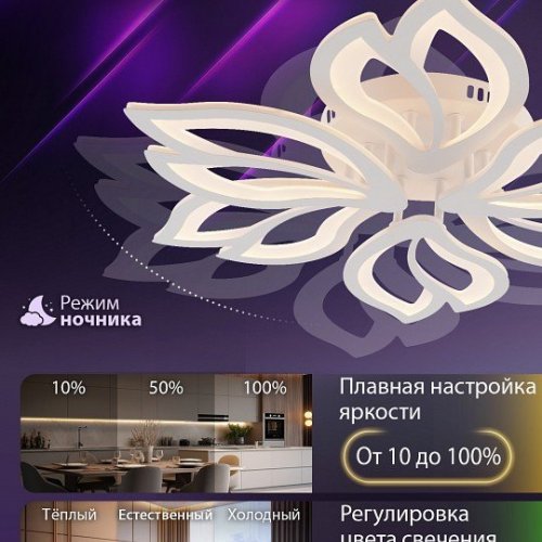 Потолочная люстра Natali Kovaltseva Fortuna LED LAMPS 81107/6C