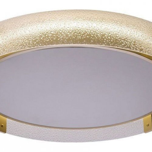 Потолочный светильник Gerda ZRS.1097.60 Потолочный светильник Gerda ZRS.1097.60