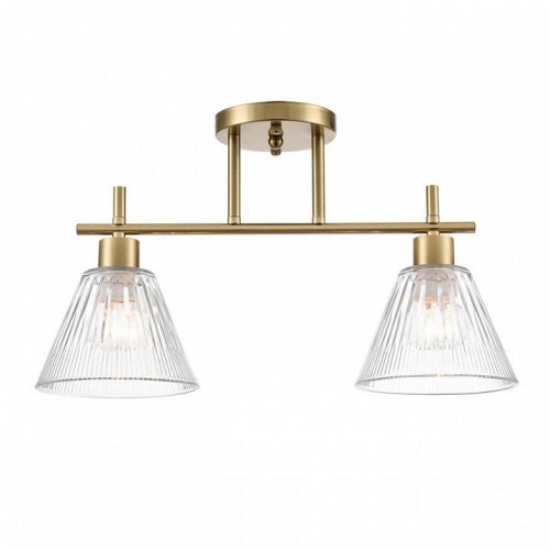 Потолочная люстра Lumion Vivian 8188/2C