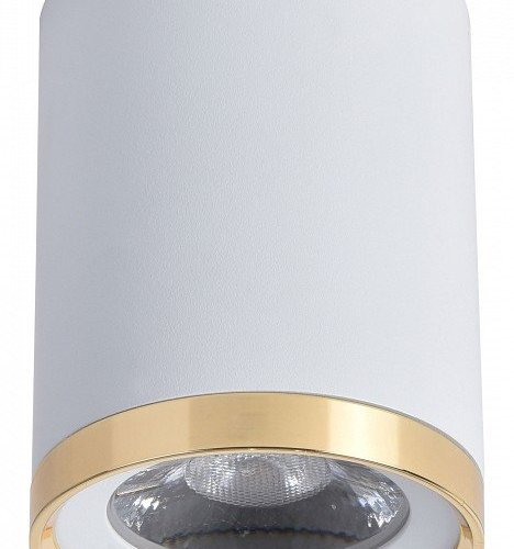 Потолочный светильник Favourite Prakash 3085-1C