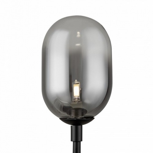 Интерьерная настольная лампа Freya Tesse FR1011TL-01B