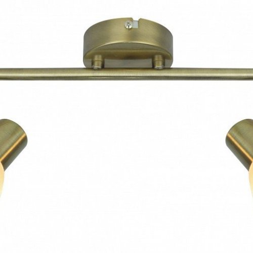 Настенно-потолочный светильник Arte Lamp Parry A5062AP-2AB