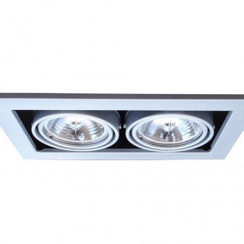 Точечный встраиваемый светильник Arte Lamp Cardani A5930PL-2SI