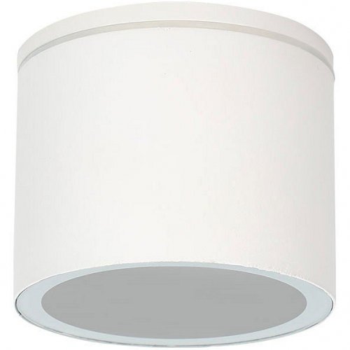 Потолочный светильник уличный Arte Lamp Piautos A1913PF-1WH