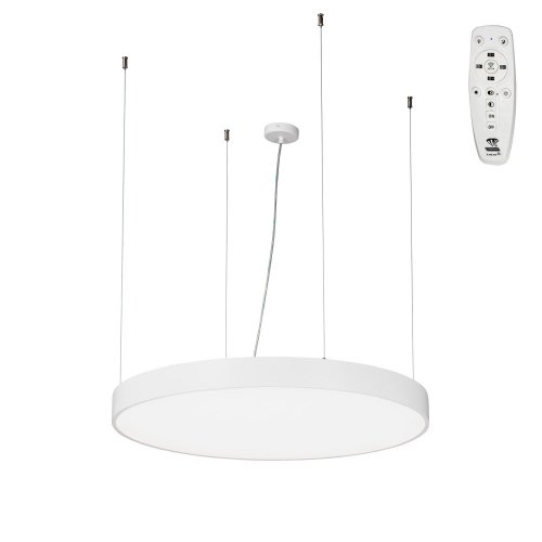 Подвесной светильник  V2116DT-0/1S