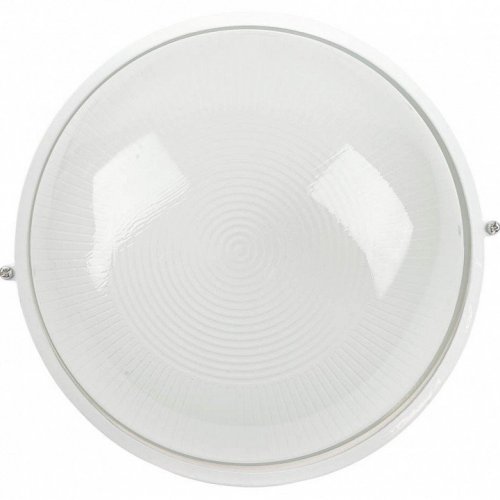 Настенно-потолочный светильник Feron НБП 03-100-001 53173