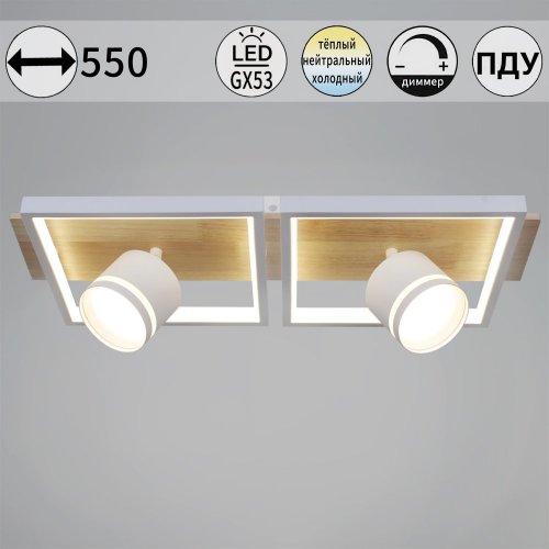 Потолочная люстра  19560-0.3-2+2 WH+WOOD