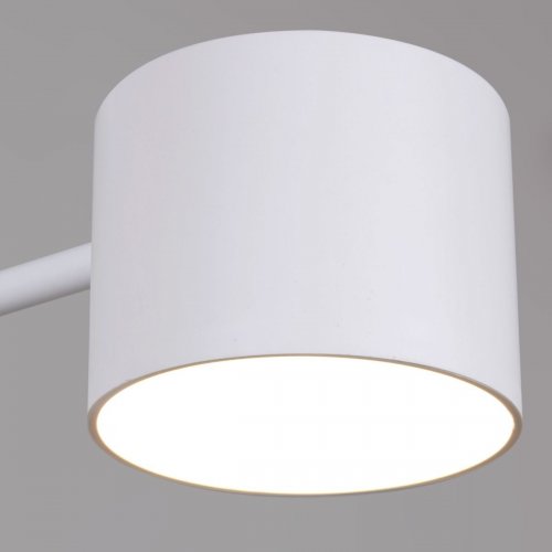 Потолочная люстра Reluce 47206-0.3-06WT