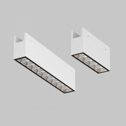 Накладной светильник Maytoni Outdoor Points O-TR01-2-S-10WW3K