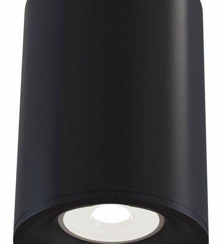 Потолочный светильник Maytoni Alfa C012CL-01B