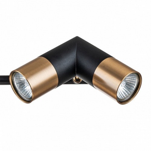 Люстра на штанге Indigo Doppio 11036/6R Black Люстра на штанге Indigo Doppio 11036/6R Black