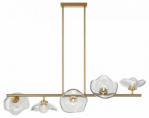 Потолочная люстра Maytoni Miracle MOD207PL-05BS