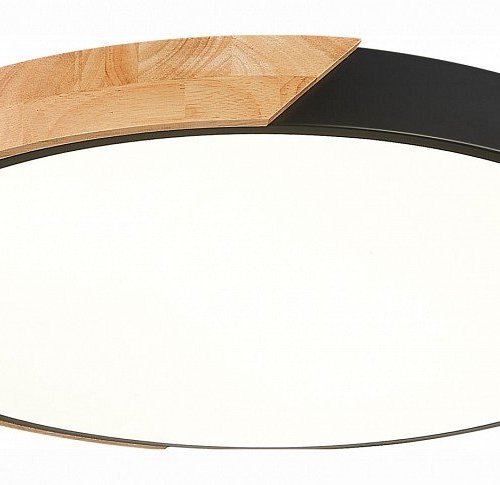 Потолочный светодиодный светильник Evoluce Festa SLE200942-01