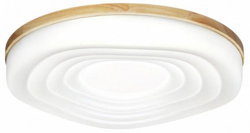 Настенно-потолочный светильник Sonex Fass Wood 7674/EL