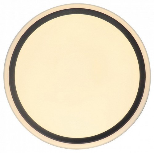 Потолочный светильник Zortes Bella ZRS.1201.04