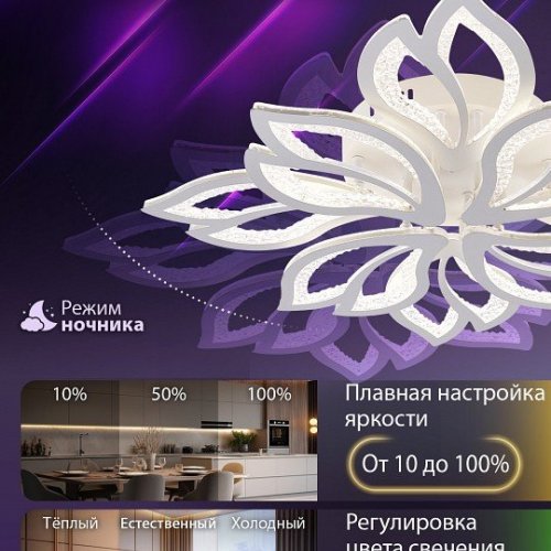 Потолочная люстра Natali Kovaltseva Fortuna LED LAMPS 81109/7C