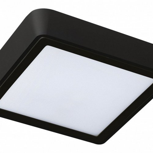 Потолочный светодиодный светильник Lightstar Urbano 216874 Потолочный светодиодный светильник Lightstar Urbano 216874