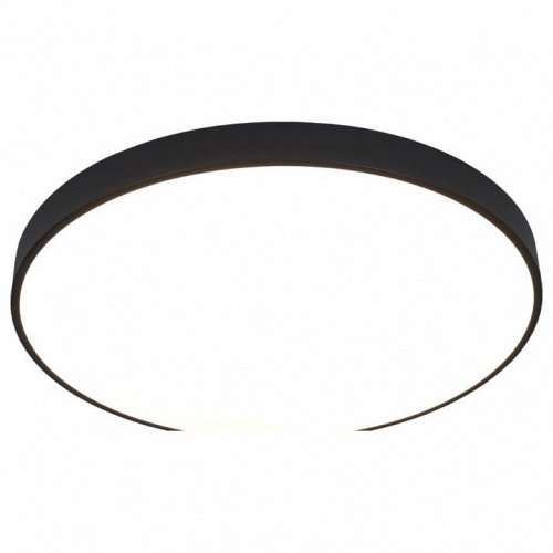 Потолочный светодиодный светильник Arte Lamp Arena A2673PL-1BK Потолочный светодиодный светильник Arte Lamp Arena A2673PL-1BK