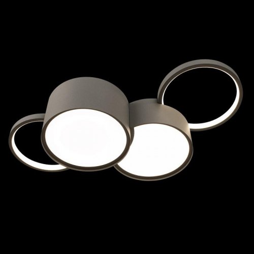 Потолочный светильник Pin 10317/4 Grey