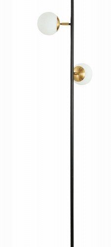 Торшер Evoluce Forli SLE220405-03