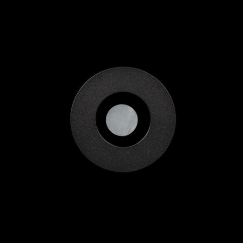 Точечный светильник Chip 10338/B Black