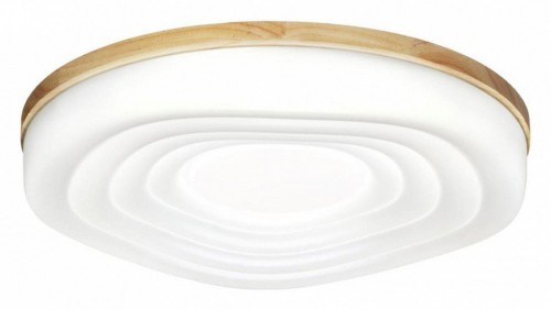 Настенно-потолочный светильник Sonex Fass Wood 7674/DL