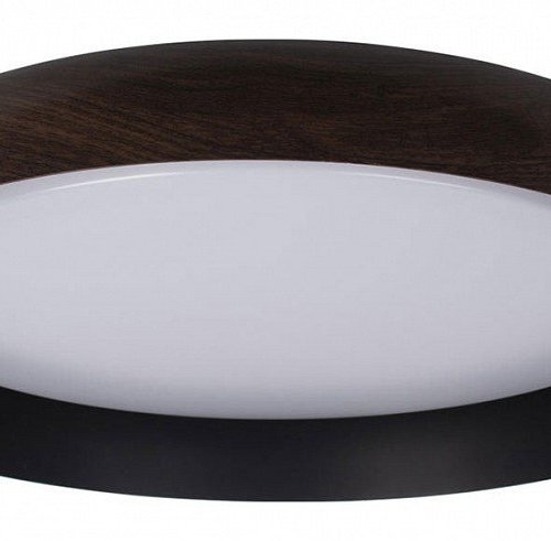 Потолочный светильник Loft IT Coin 10198 Black