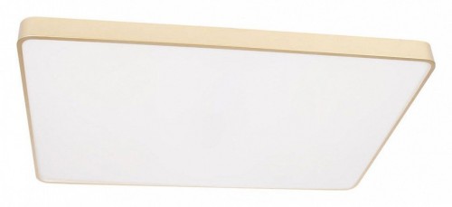 Потолочный светильник Loft IT Flims 10228/E