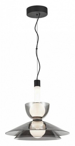 Подвесной светильник Aployt Daga APL.772.16.12