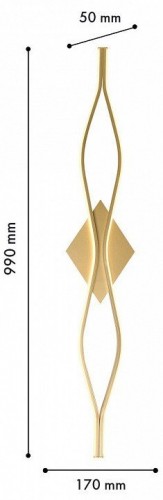 Накладной светильник Favourite Mebius 4741-2W