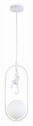 Подвесной светильник Evoluce Tenato SLE115123-01