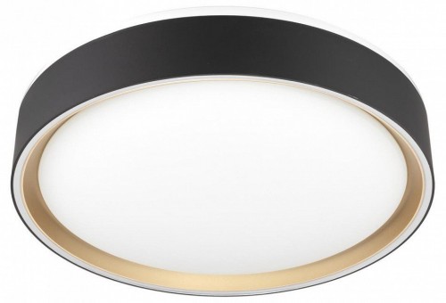 Накладной светильник Citilux BOSS CL751251G Накладной светильник Citilux BOSS CL751251G