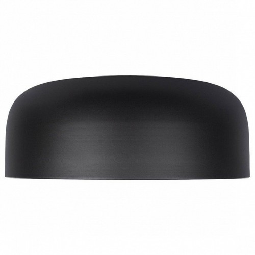 Потолочный светильник Loft IT Axel 10201/480 Black