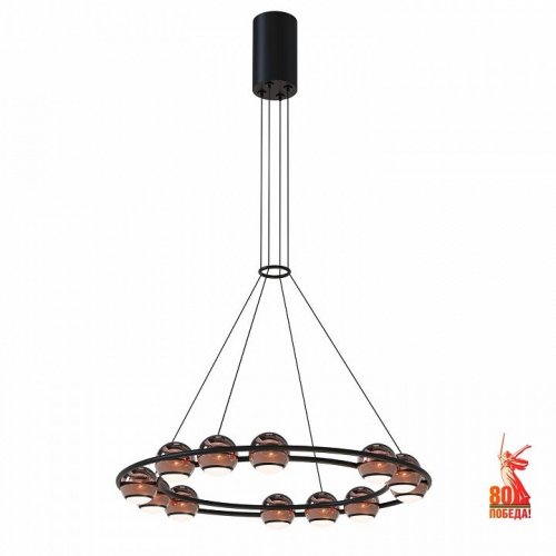 Подвесной светильник Favourite Sturm 4561-12P Подвесной светильник Favourite Sturm 4561-12P