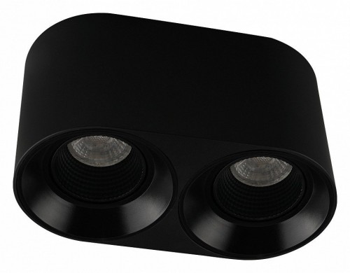 Накладной светильник Denkirs DK3096-BK
