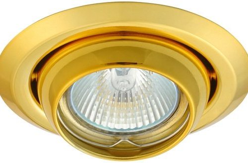 Точечные светильники Kanlux ARGUS CT-2117-G 308 Точечные светильники Kanlux ARGUS CT-2117-G 308