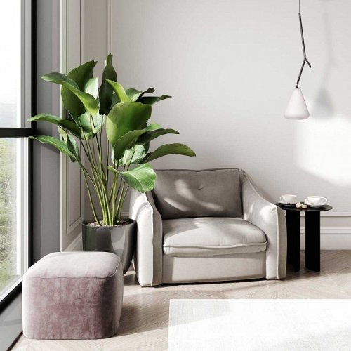 Подвесной светильник MW-Light Лоск 107010701 Подвесной светильник MW-Light Лоск 107010701