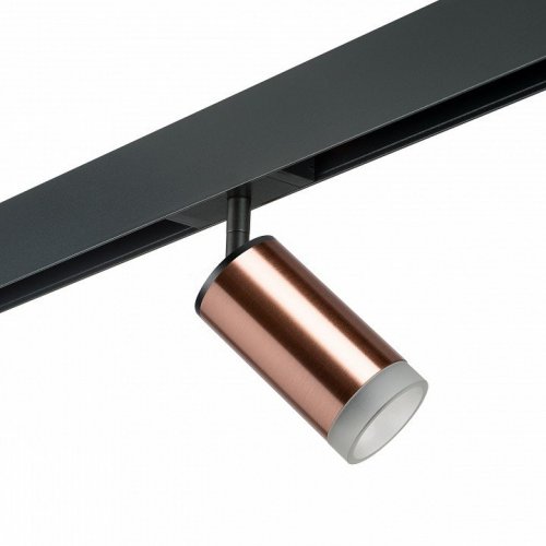 Светильник на штанге Lightstar Rullo PRO430430 Светильник на штанге Lightstar Rullo PRO430430