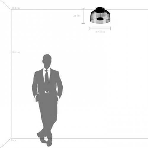 Накладной светильник Lightstar Celesta 809062 Накладной светильник Lightstar Celesta 809062